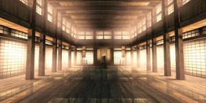dojo.jpg