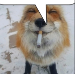 1675644998696.png