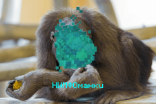f7b695ffa58dc9a66aa0930ac4e205f9 (1).png