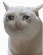 sad-cat.gif