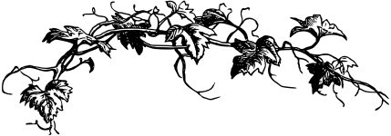1641273432_10-papik-pro-p-vektornii-risunokloza-10.png