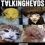 1678215550779.png
