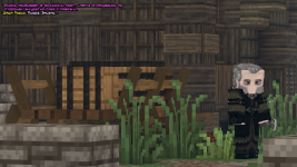 SS1.png