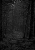 cefd4337d888fca5ea68f0ab1bb9adcc.png cefd4337d888fca5ea68f0ab1bb9adcc.png