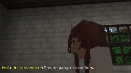 Без-имени-1.png
