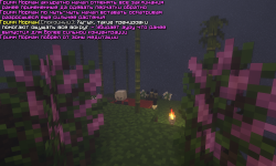 SS3.png