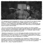 Ш-1.jpg