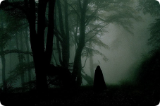 rounded-in-photoretrica (11).png rounded-in-photoretrica (11).png