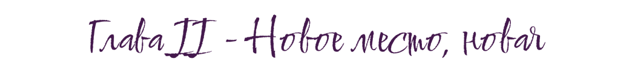 Новый проект (1).png