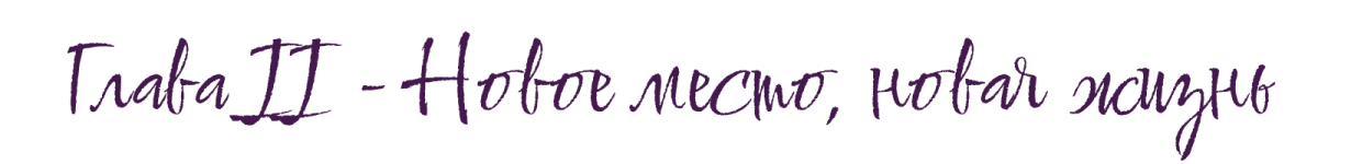 Новый проект (2).png