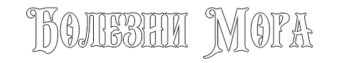 Без имени-1.png