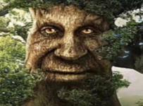 1665038057473.png 1665038057473.png