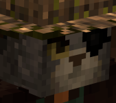 1695661496872.png