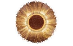 3ljmc3Y (1).png