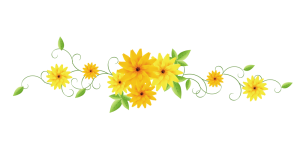 1669357749_38-zefirka-club-p-razdelitel-dlya-teksta-na-prozrachnom-fone-78.png