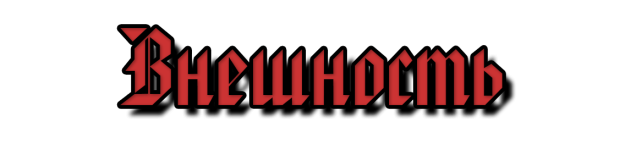 Без имени-1.png