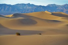 mesquite-flats-4779079_1280.jpg mesquite-flats-4779079_1280.jpg