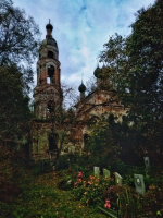 IMG_7837.jpeg IMG_7837.jpeg