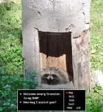 изображение_2024-04-02_185325502.png изображение_2024-04-02_185325502.png