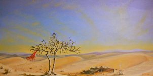saudi-desert-bedouin-tent-yvonne-ayoub.jpg