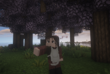 IMG_20240516_150803.png
