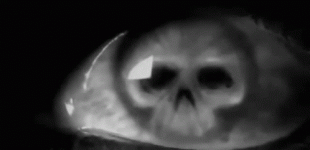 horror-scary.gif horror-scary.gif