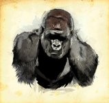 1675290923_gas-kvas-com-p-gorilla-risunok-art-50.jpg 1675290923_gas-kvas-com-p-gorilla-risunok-art-50.jpg