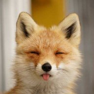 Indigo снегопад