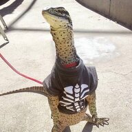 ахуенные фрукты