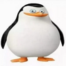 dodirovparmezann